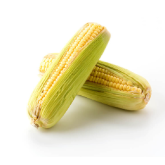 Corn