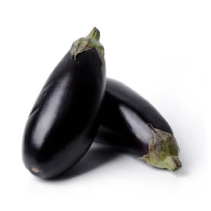 Egg plant